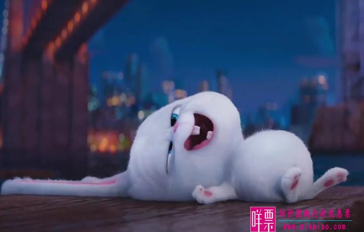 《飞鸭向前冲》将于12月22日上映-1